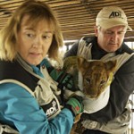 Animal Defenders International on Swoop's World Primetime